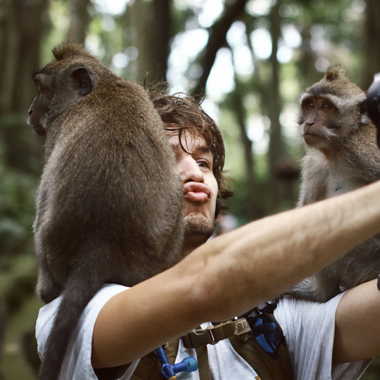 A person takes a selfie while two monkeys sit on their shoulders in a forested setting.