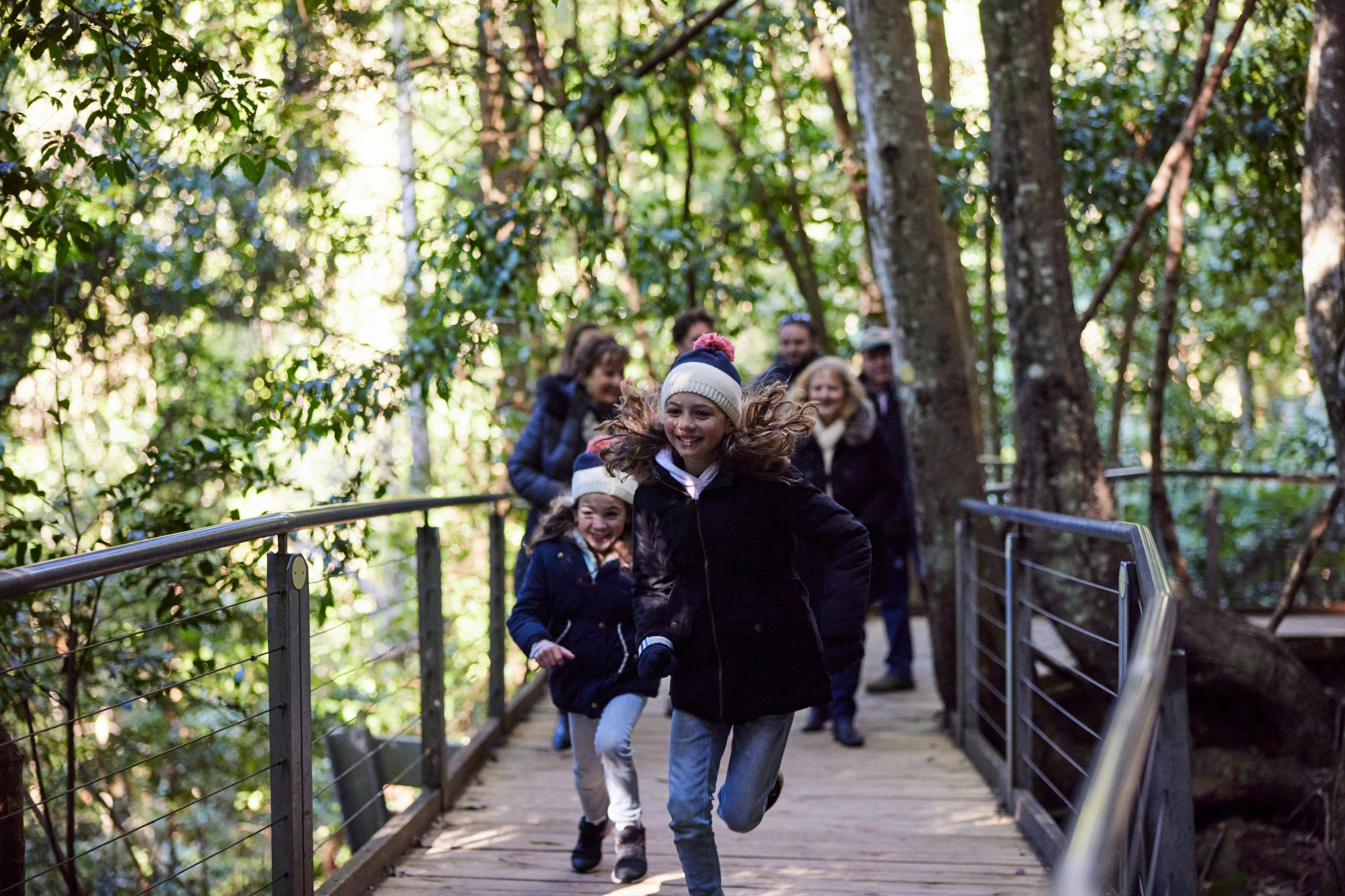 Blue Mountains: Half-Day Tour from Sydney + Scenic World Rides 5