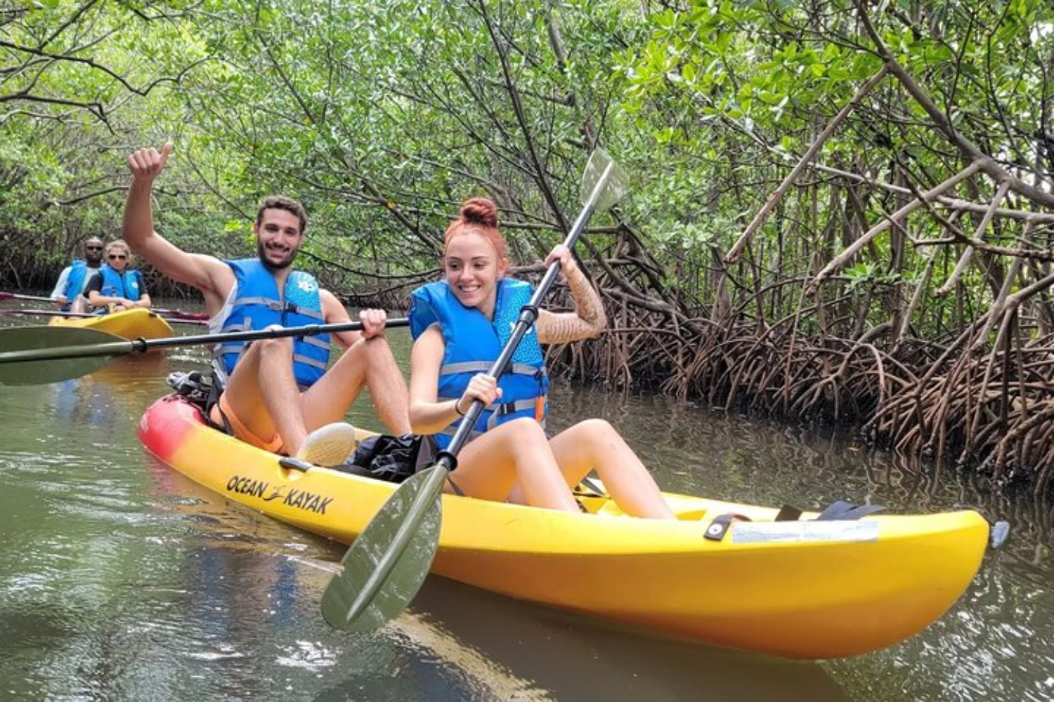 Mangrove Jungle: SUP/Kayak Adventure + Drinks