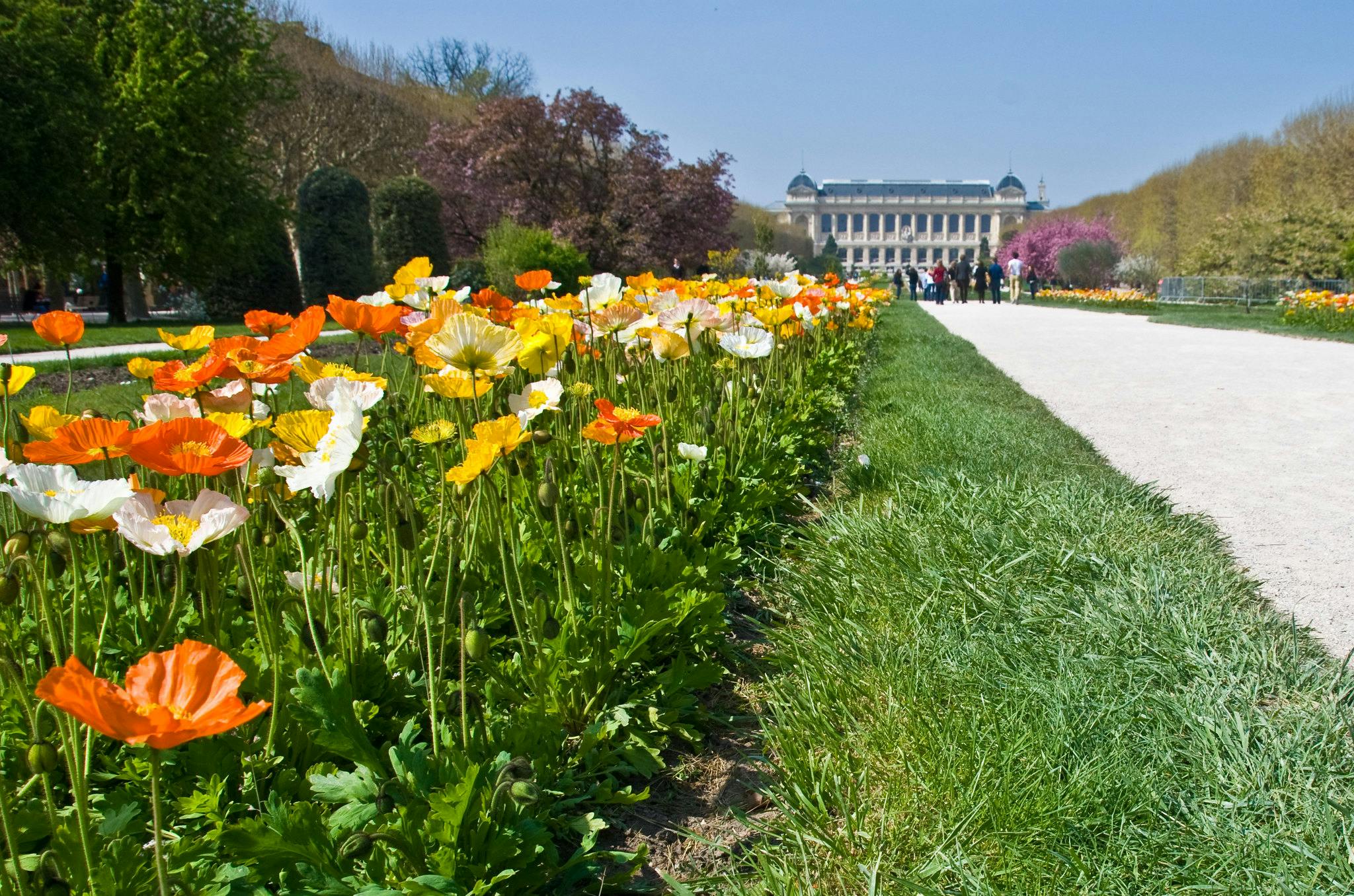 Jardin des Plantes a París