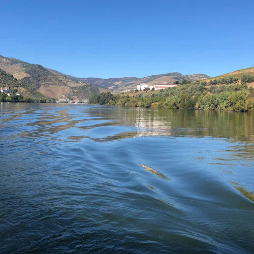 Douro Valley: River Cruise + Vineyard Tour & Lunch - Photo 4