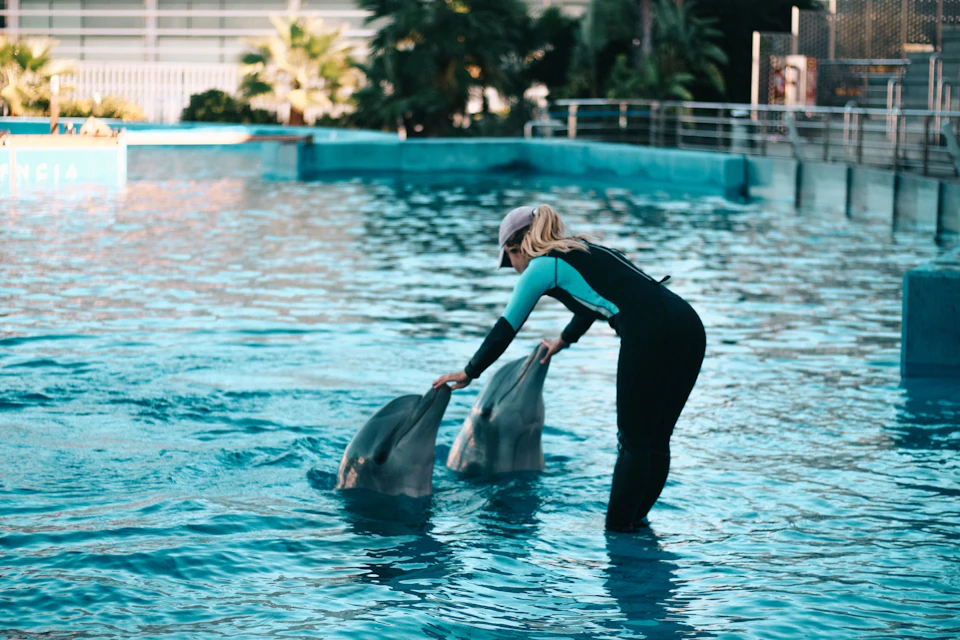 A woman in a wetsuit interacts with two dolphins in a large, outdoor pool with surrounding greenery.