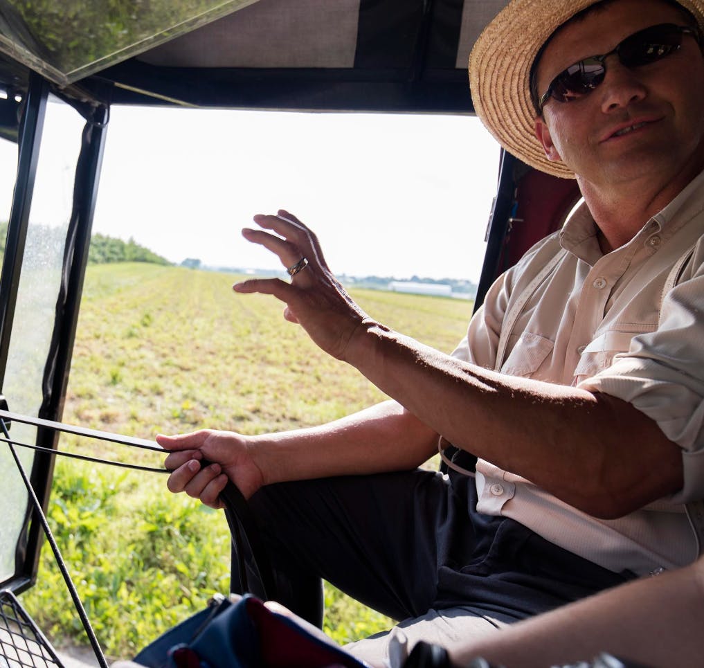 Amish Man στο Buggy