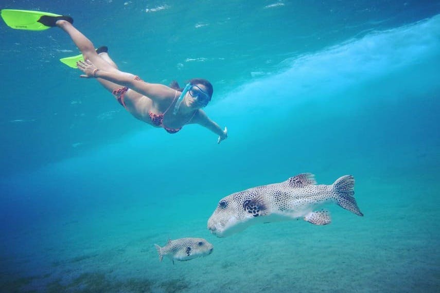 κολύμβηση με αναπνευστήρα