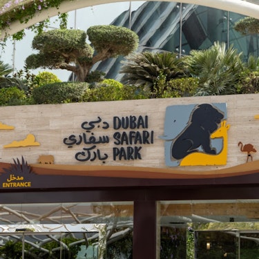 Biljetter till Dubai Safari Park