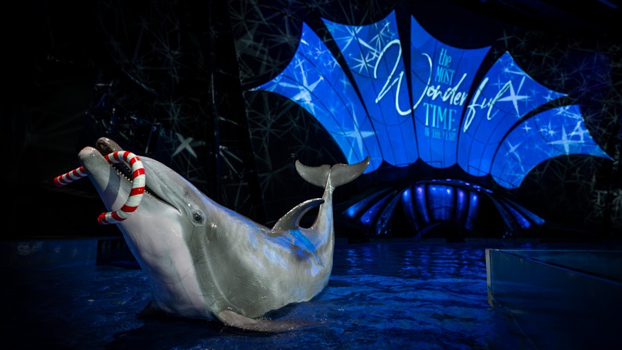 Georgia Aquarium Tickets