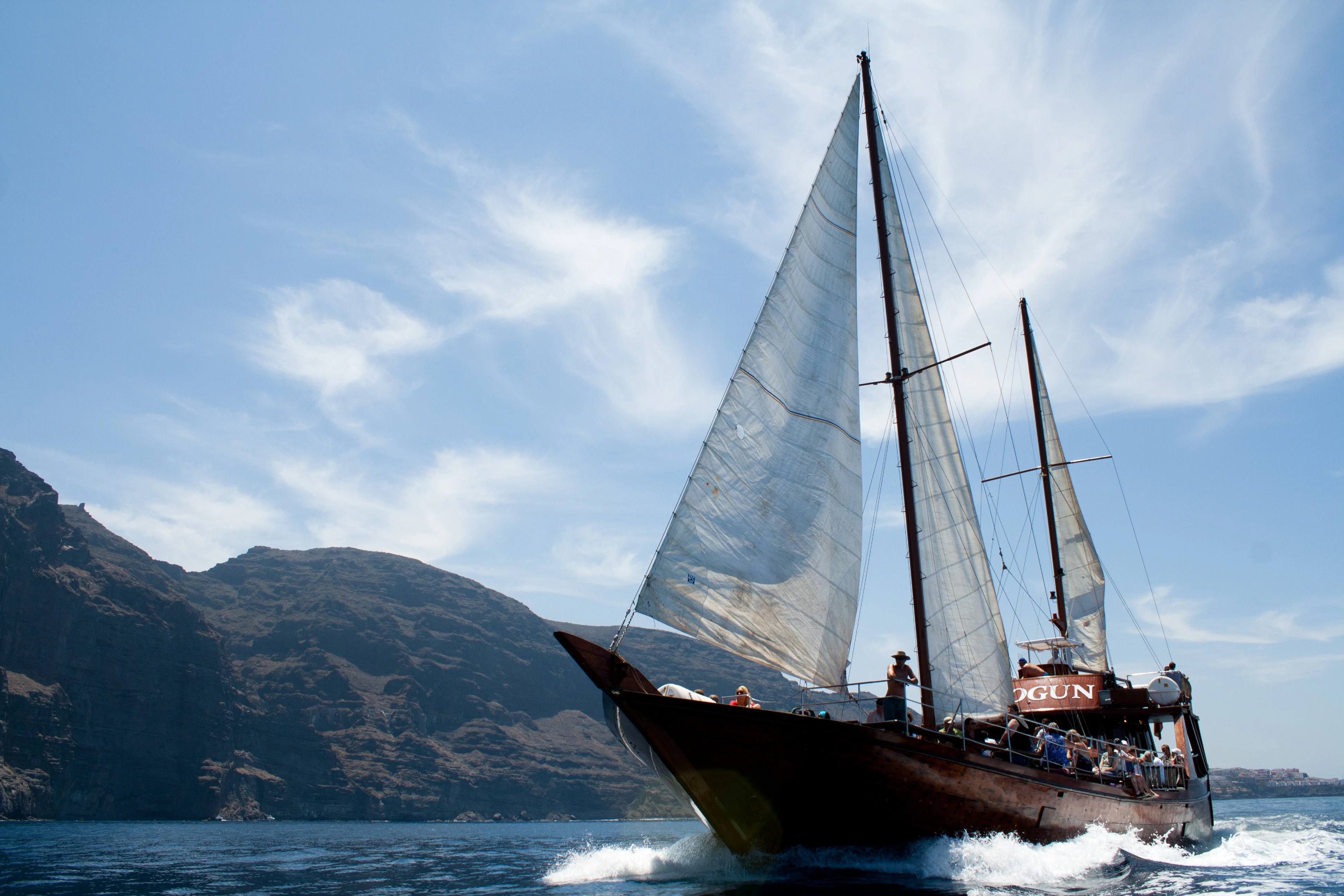 Los Gigantes: 5-Hr Guided Whale Watching Cruise from Costa Adeje + Lunch