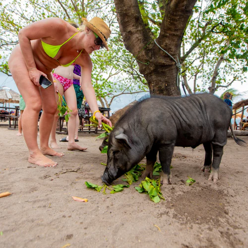 Tan & Pig Islands: Guided Speedboat Tour from Koh Samui + Pink Dolphin Spotting - Photo 11
