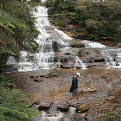Blue Mountains: Scenic World Entry Ticket + Harbour Cruise from Sydney 2