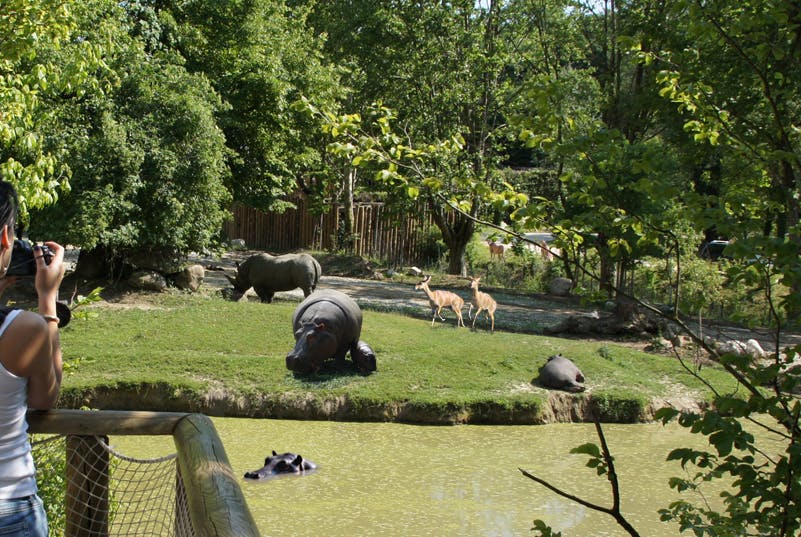 自然野生动物园