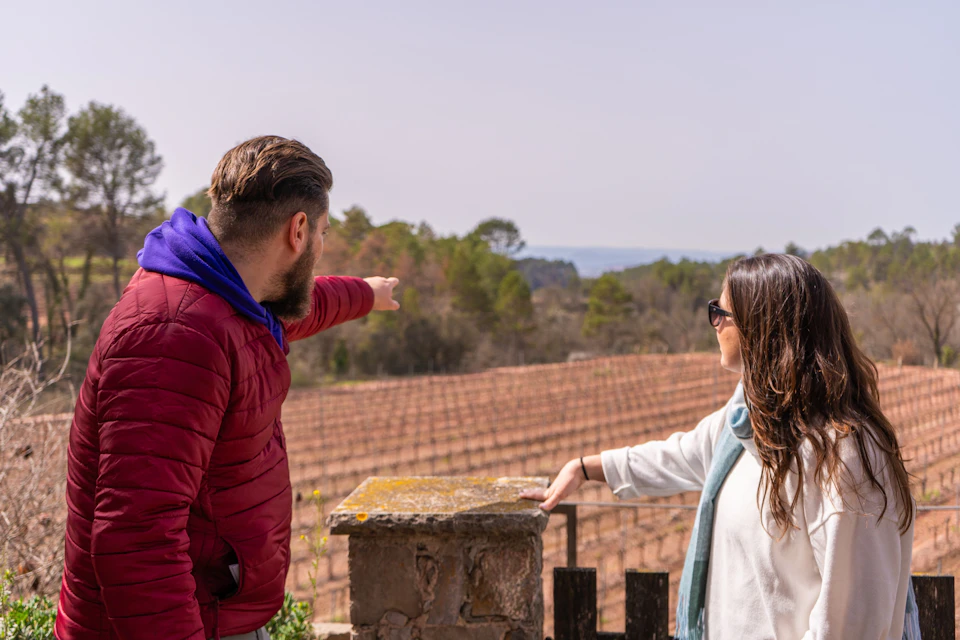 Vineyard at Pla de Bages