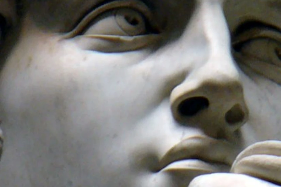 David by the divine artist Michelangleo