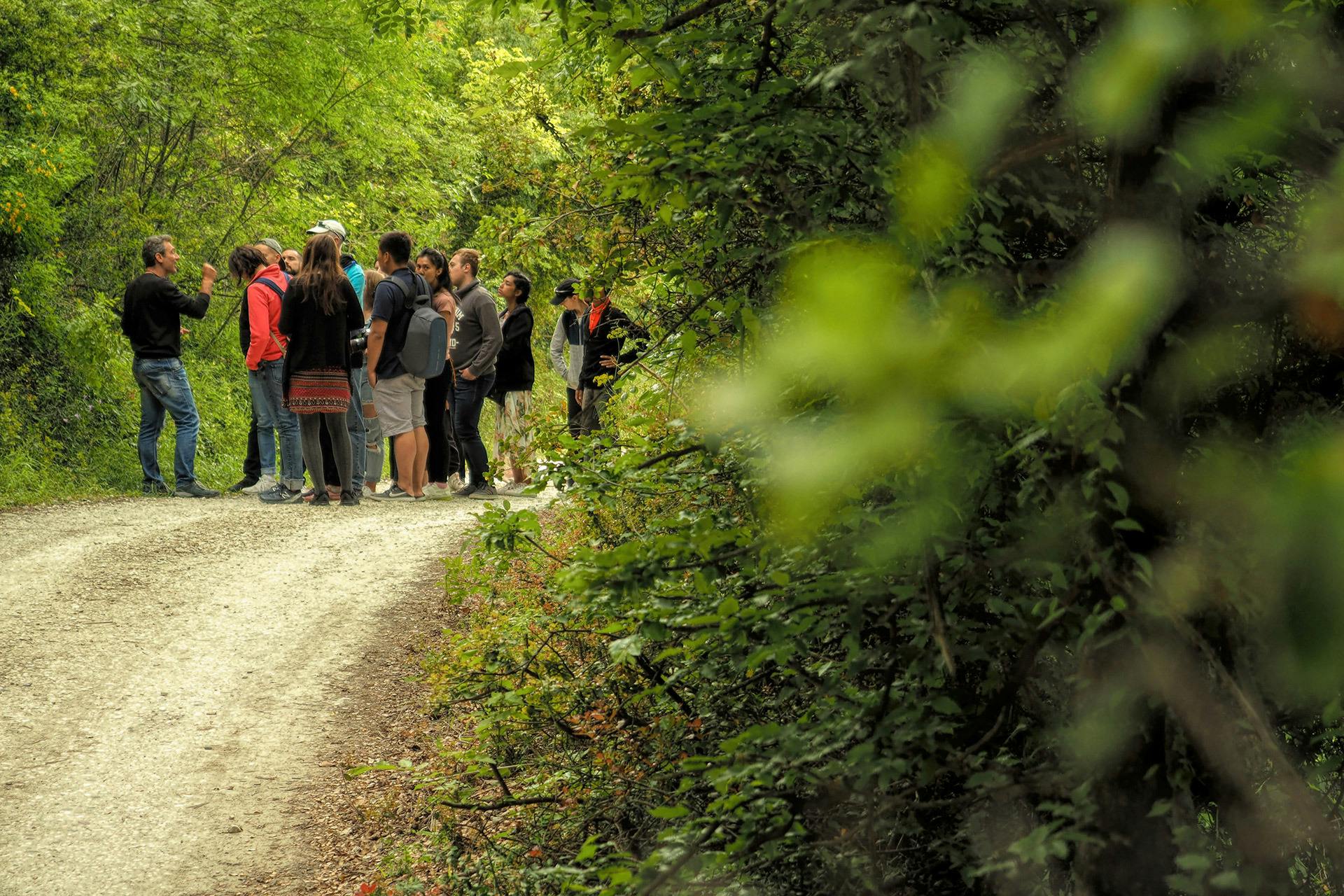 Excursion d'une journée d'Athènes aux Météores