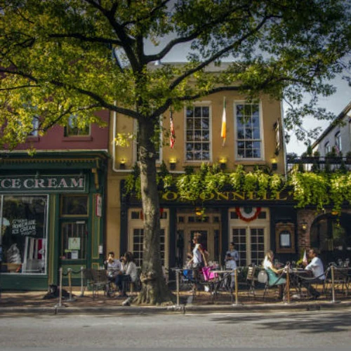 Mount Vernon & Old Town Alexandria: Half-Day Tour - Photo 2