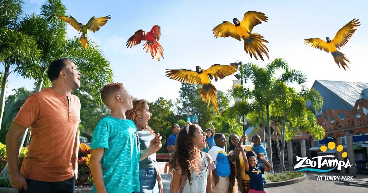 Um grupo de pessoas a olhar para papagaios coloridos a voar, rodeados por árvores e estruturas com um logótipo que diz "ZooTampa".