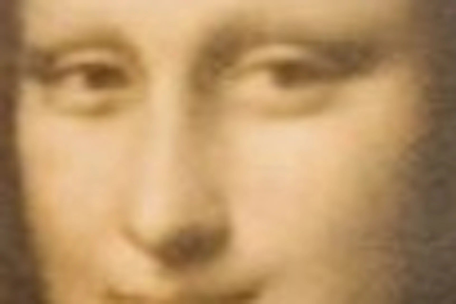 A framed portrait of the Mona Lisa displayed on a wall with blurred heads of viewers in the foreground.