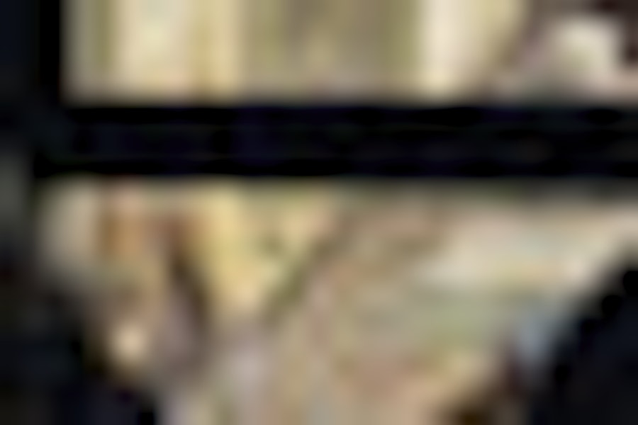 Kombination: Lisbon Hop-On Hop-Off Buss, Spårvagn och Båtbiljetter