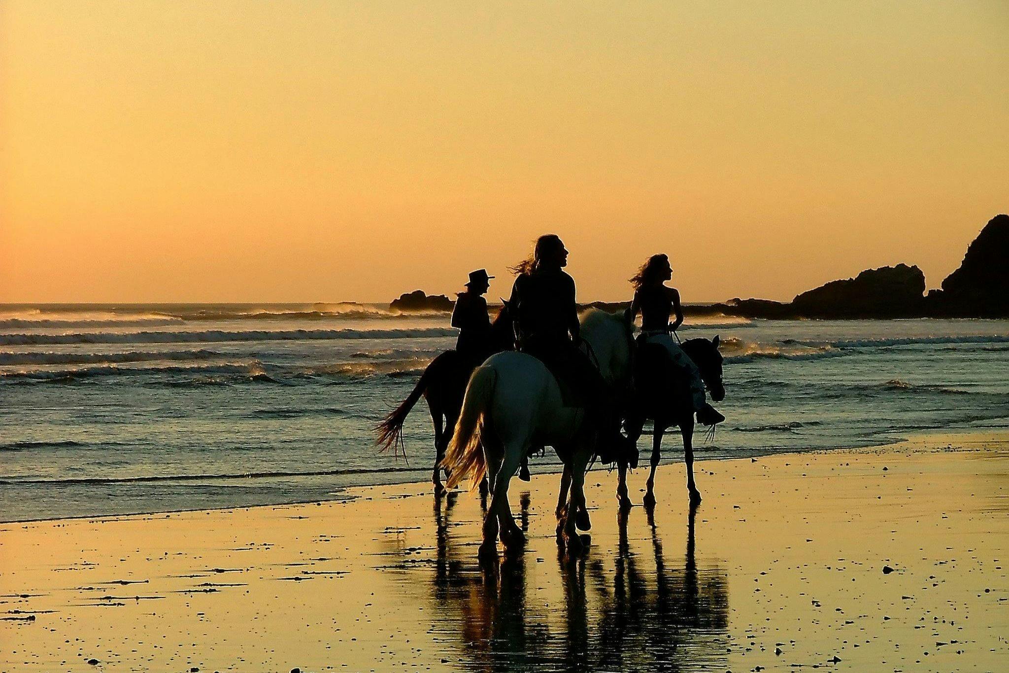 Tour a cavallo di due ore Sole e Mare con trasferimento - Hurghada