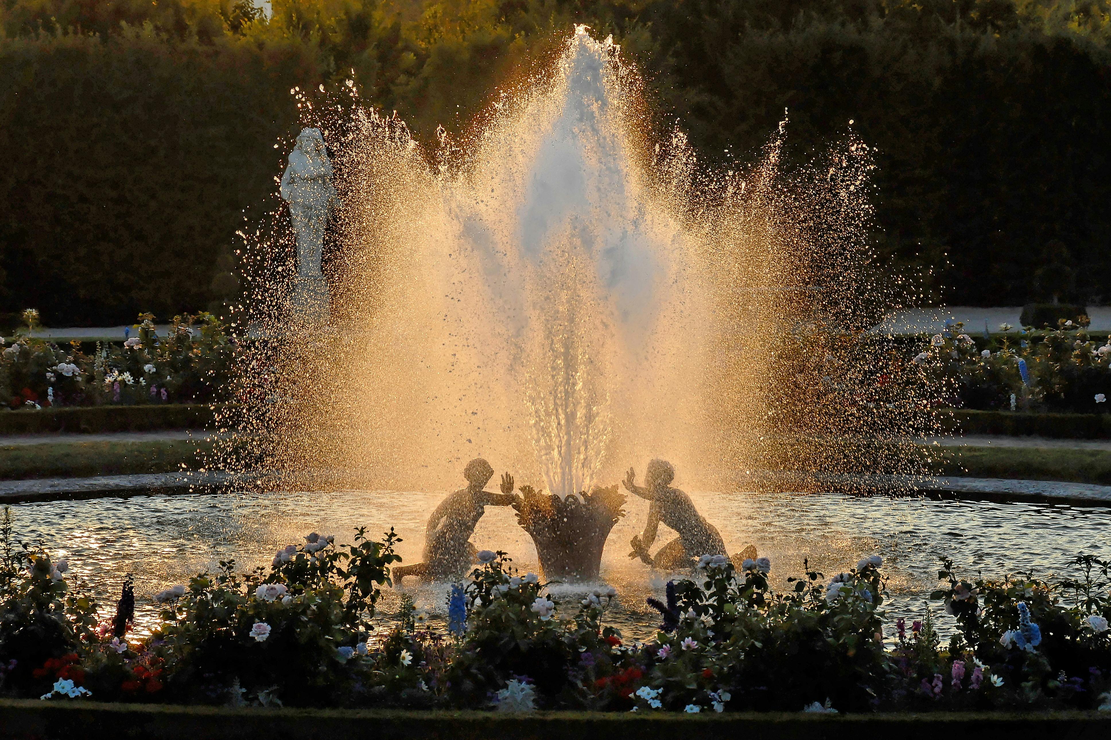 Palace Of Versailles: Night Fountains Show Ticket