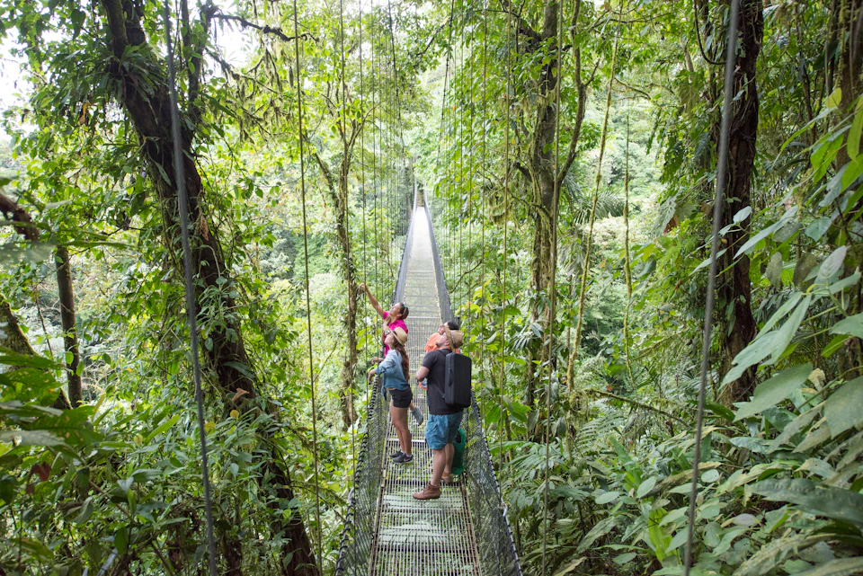 Suspension Bridges