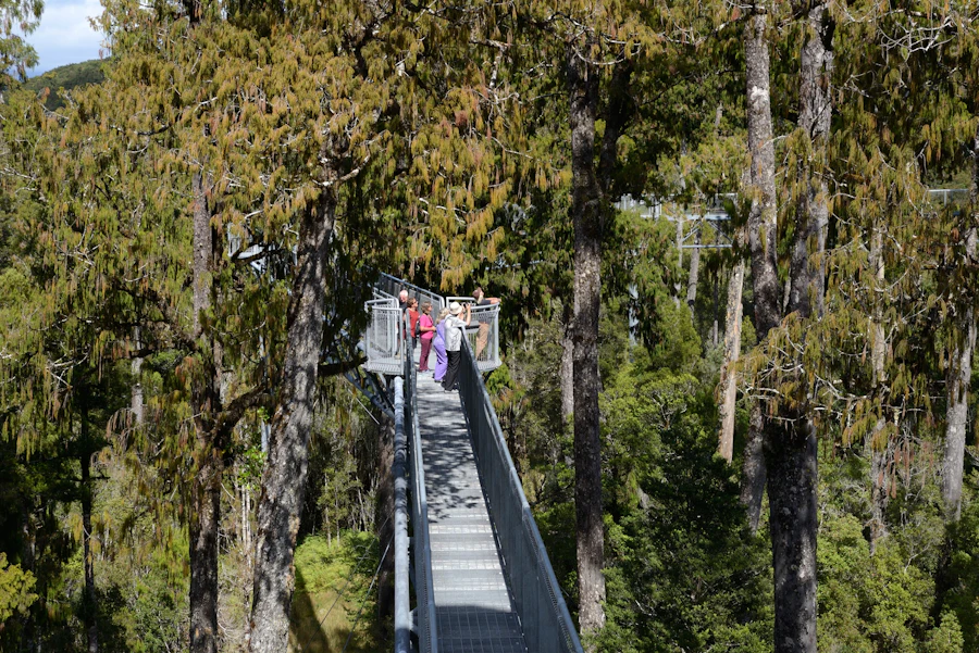West Coast Tree Top Tower 門票