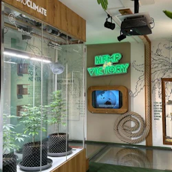 The First Floor