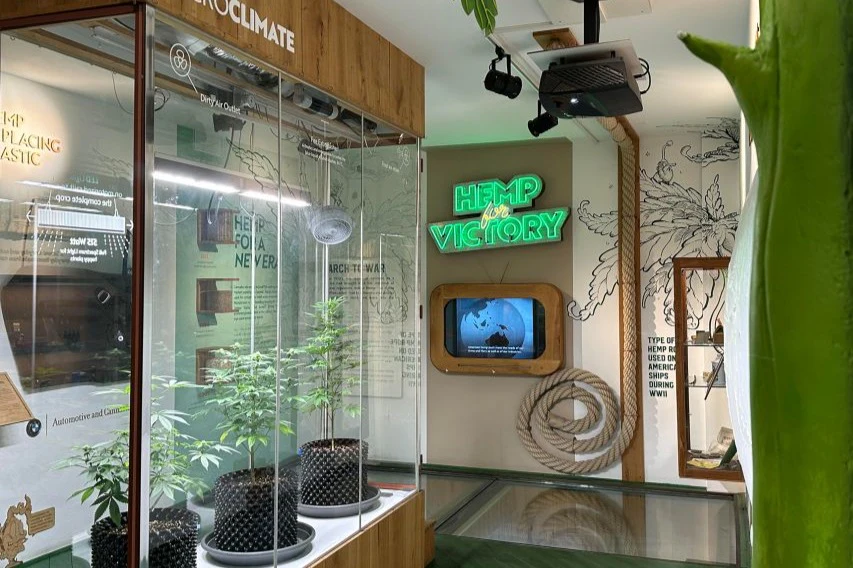 Cannabis Museum Amsterdam: Entry Ticket + Audio Guide