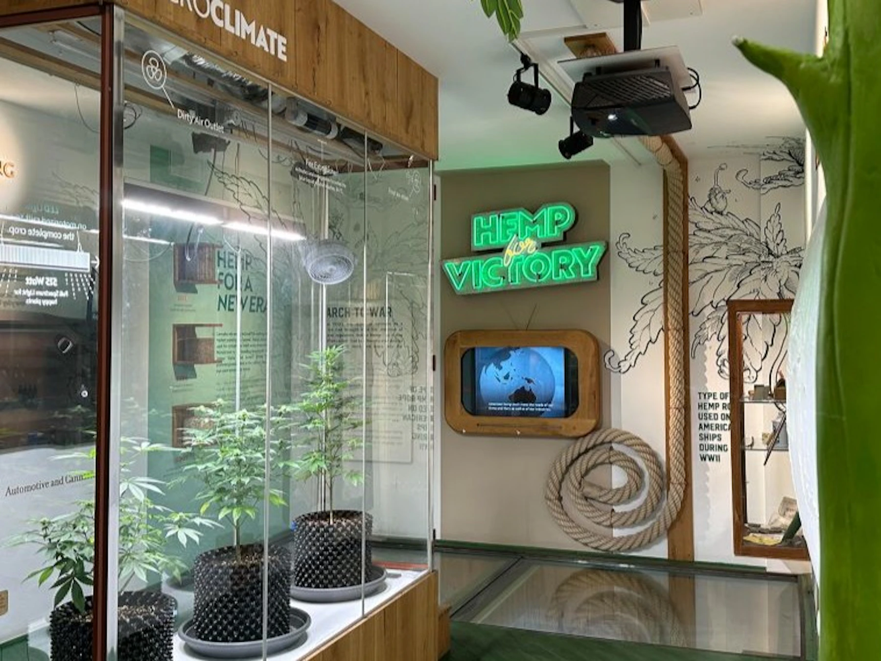 Cannabis Museum Amsterdam: Toegangsticket + Audiogids