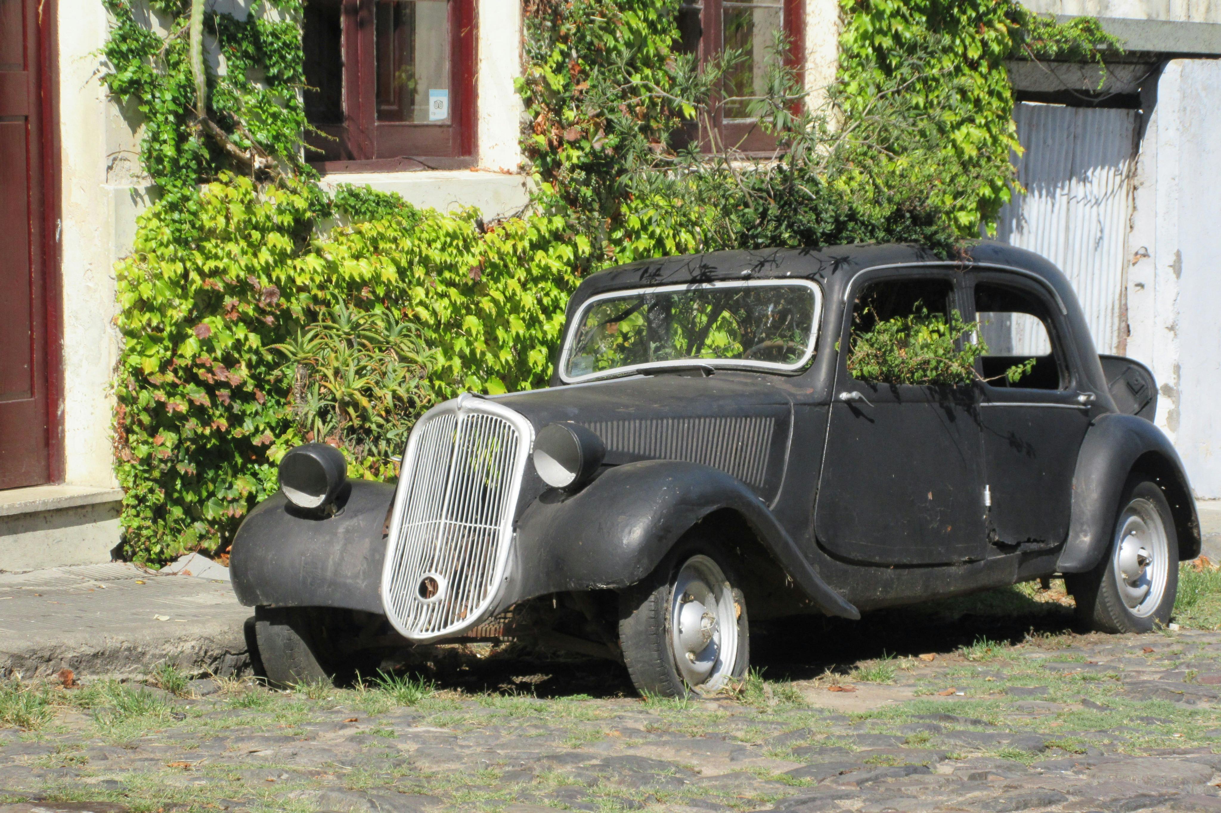 Colonia Del Sacramento: Full-Day Tour from Buenos Aires + Roundtrip Ferry - Photo 6