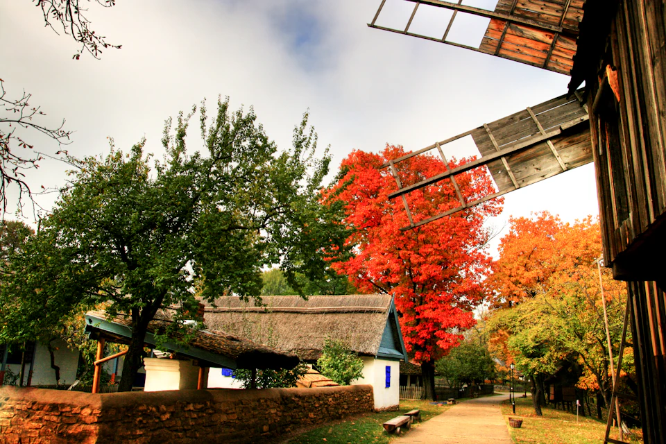 Traditional thatched-roof houses surrounded by green and red autumn trees with the wooden blades of a windmill overhead.