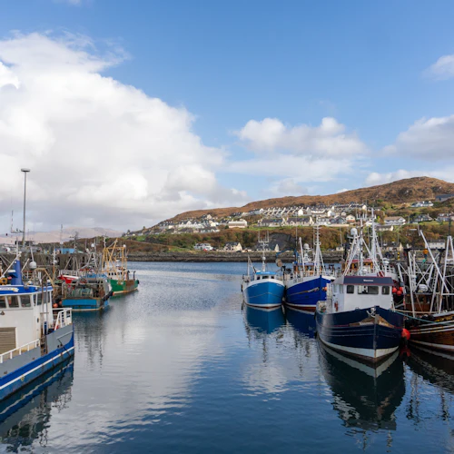 Terras Altas da Escócia: Visita guiada a partir de Inverness + Bilhete para o comboio a vapor Jacobite - Photo 5