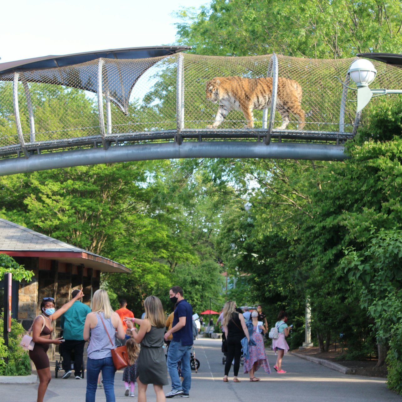 Philadelphia Zoo: General Admission Ticket - Accommodations in Philadelphia