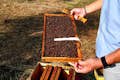 Besuch einer Honigfarm