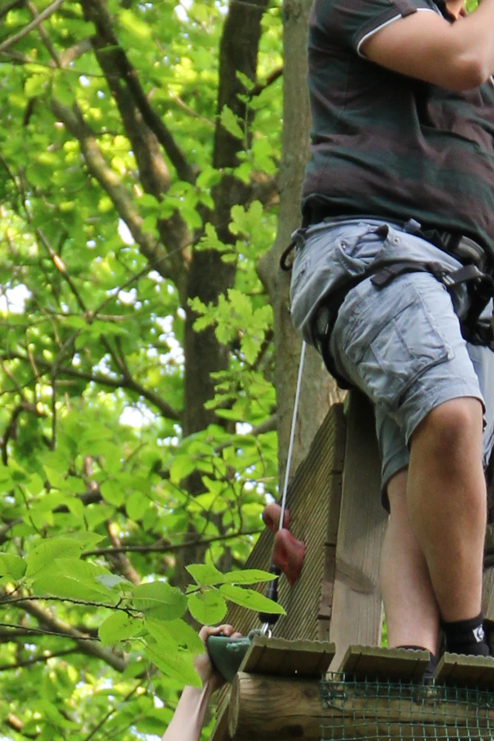 Three people wearing harnesses navigate a ropes course in a lush forest, with one standing on a platform and two climbing below.