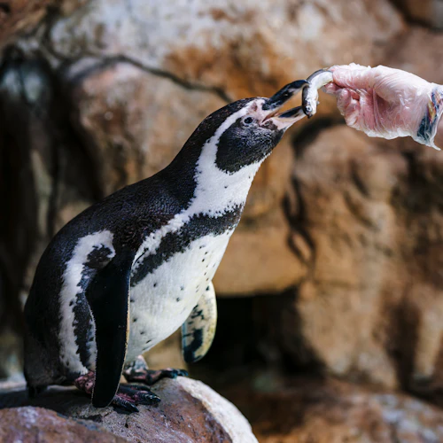 Barcelona Aquarium: Flexi-Ticket - Photo 6
