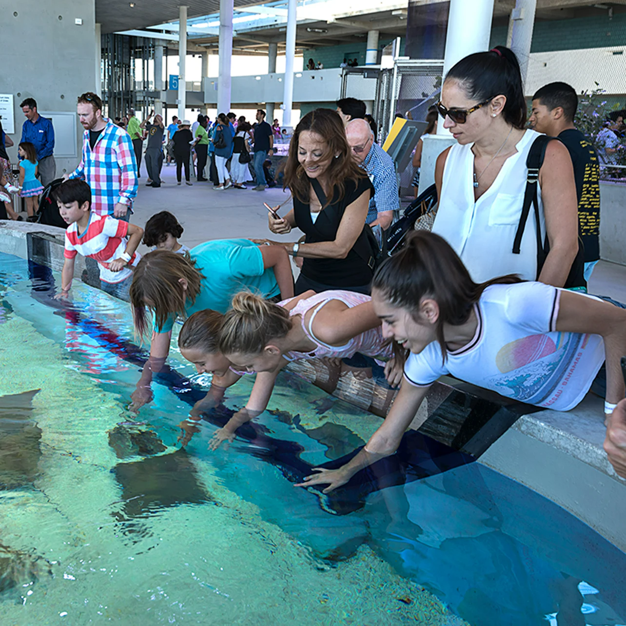 Phillip & Patricia Frost Museum of Science, Aquarium & Planetarium: Entry Ticket in Miami β Tiqets