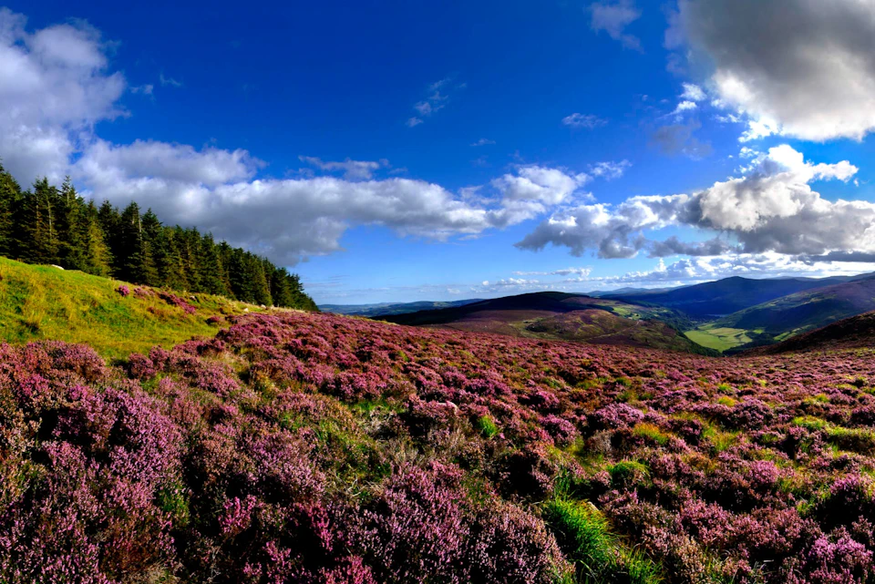 View of the Wicklow Mountains, Co. Wicklow