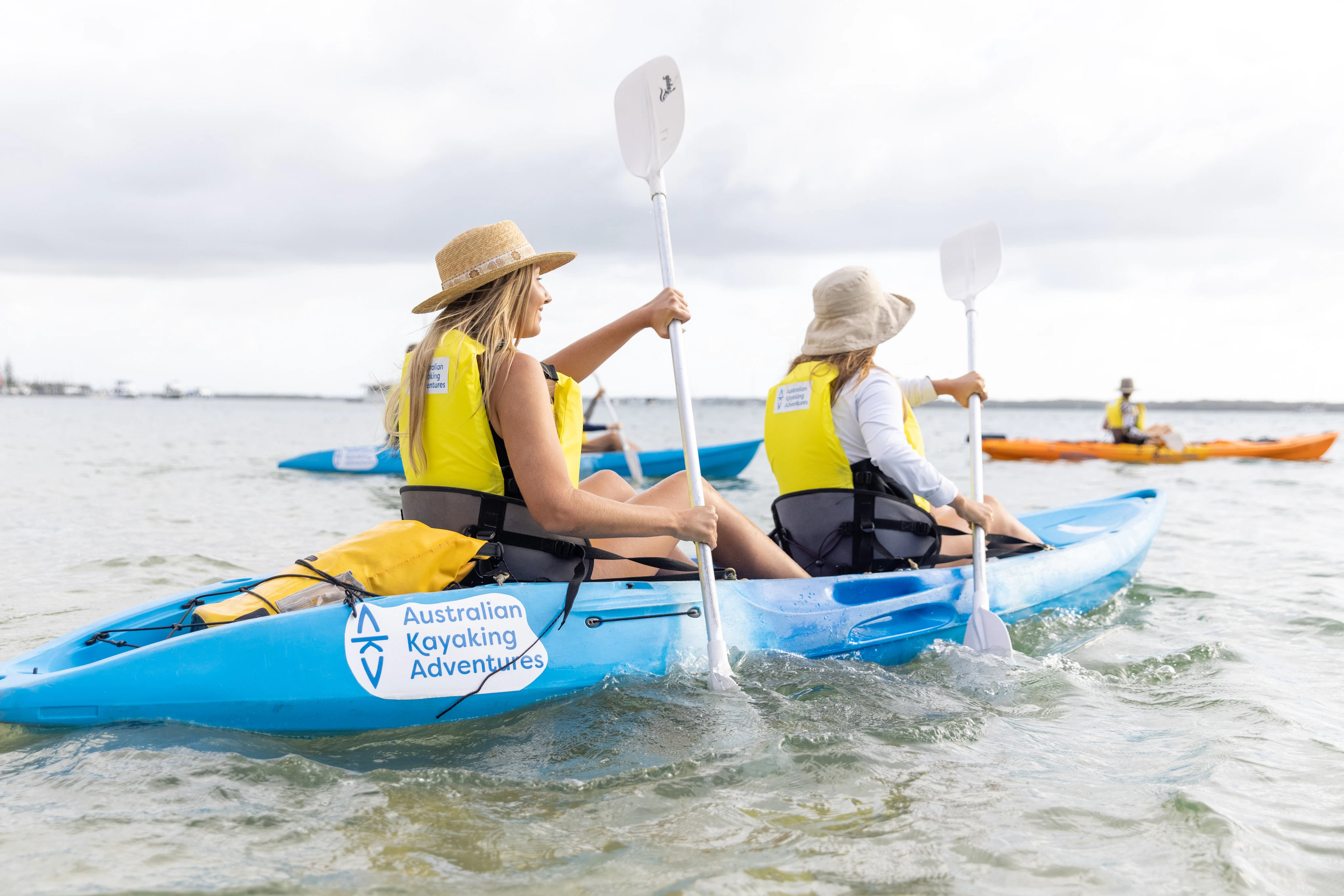 Gold Coast: Morning Dolphin Kayaking & Snorkeling Tour