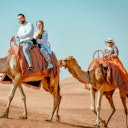 Camel
