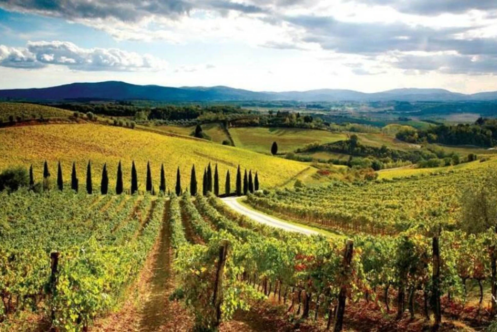Chianti, Montalcino & San Gimignano: Wine Tasting + Day Trip from Siena