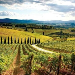 Tours & Sightseeing | Day Trips from Siena things to do in Siena