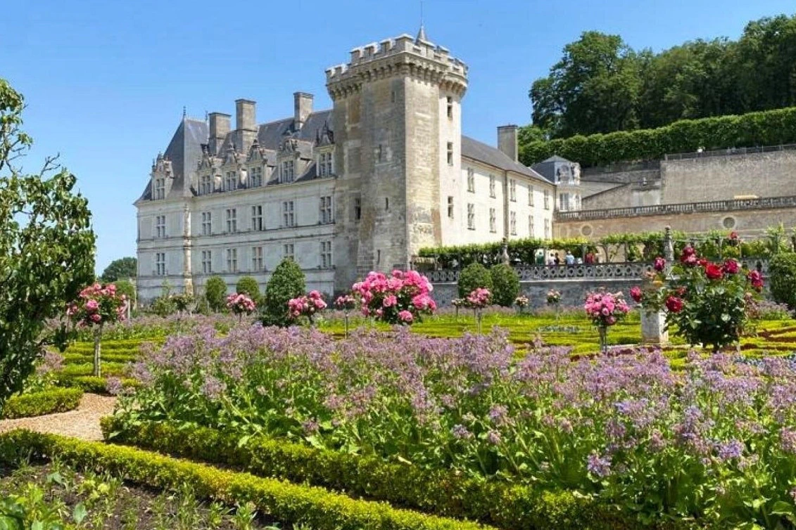 Garden of the Château de Villandry