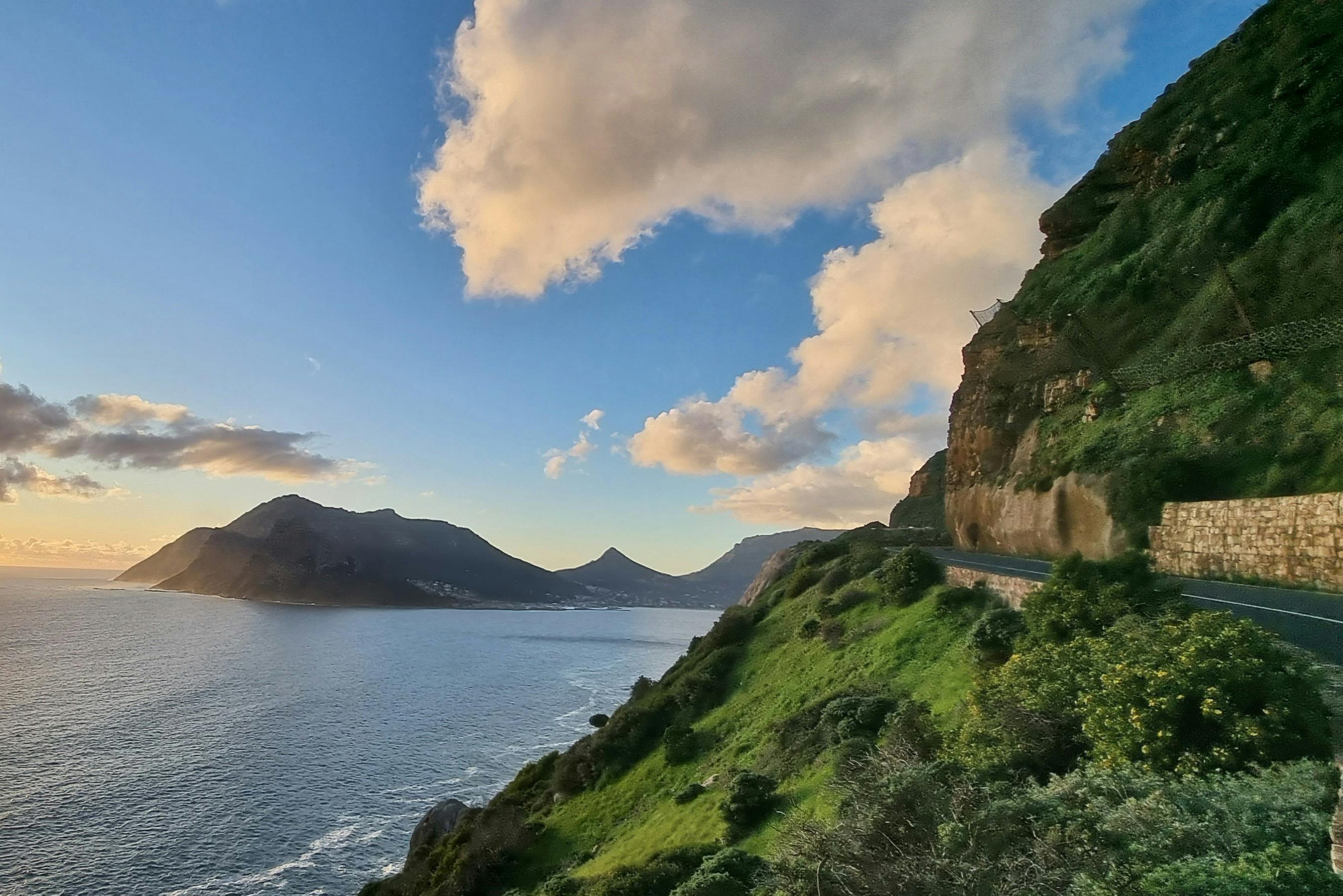 Cape Town Wildlife Watching
