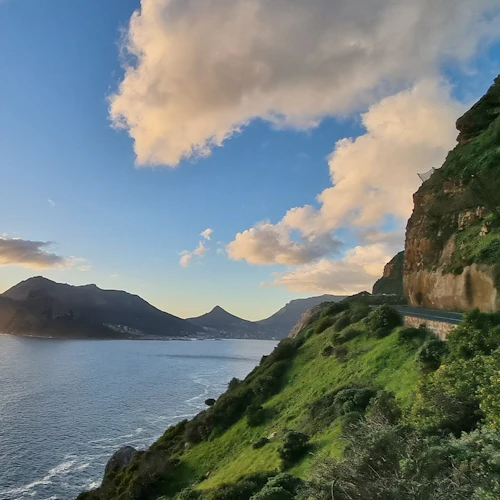 Cape Peninsula: Full-Day Guided Tour + Roundtrip Transfer