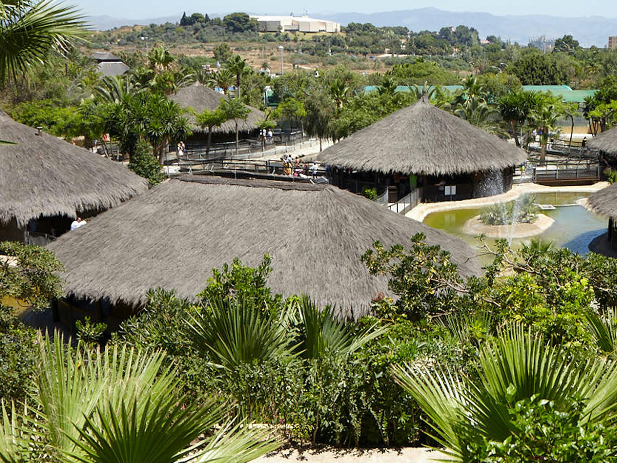 茅草屋顶小屋，四周环绕着郁郁葱葱的绿地和热带水景，远处可以看到人。