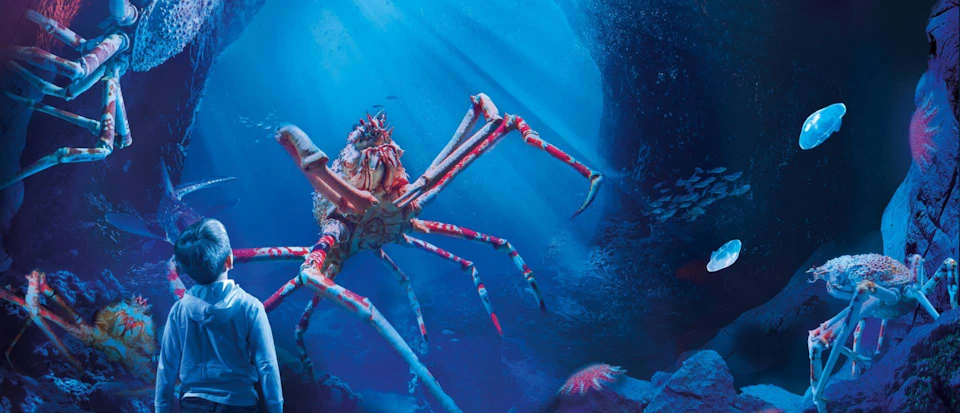 An underwater scene with a large, colorful crab with long legs, illuminated by sunlight filtering through blue water.