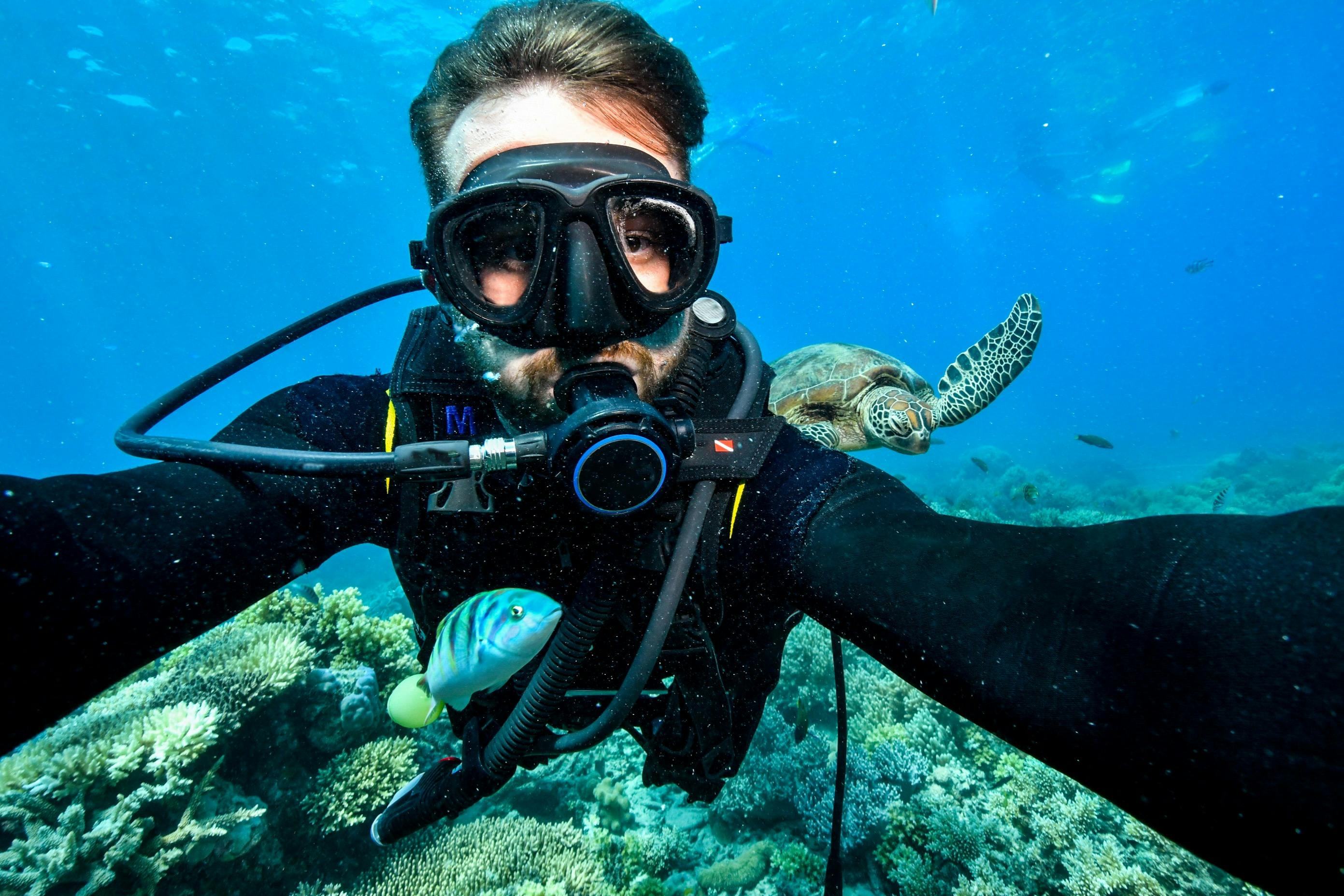 A scuba diver underwater near coral reef, wearing a mask and breathing apparatus, with a fish and a sea turtle in the background.