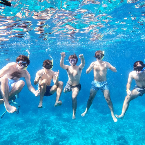 Santuario de la Tortuga de Cozumel: Excursión de snorkel