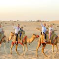 두바이에서 낙타 타기