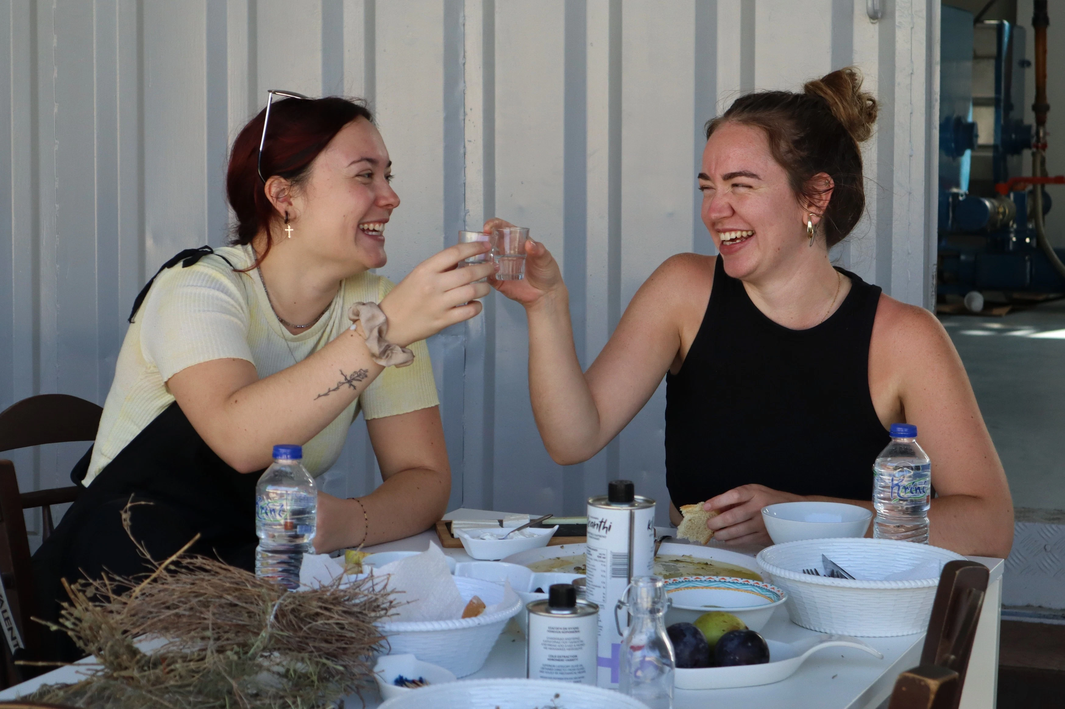 Heraklion: Guided Olive Farm Tour + Tasting